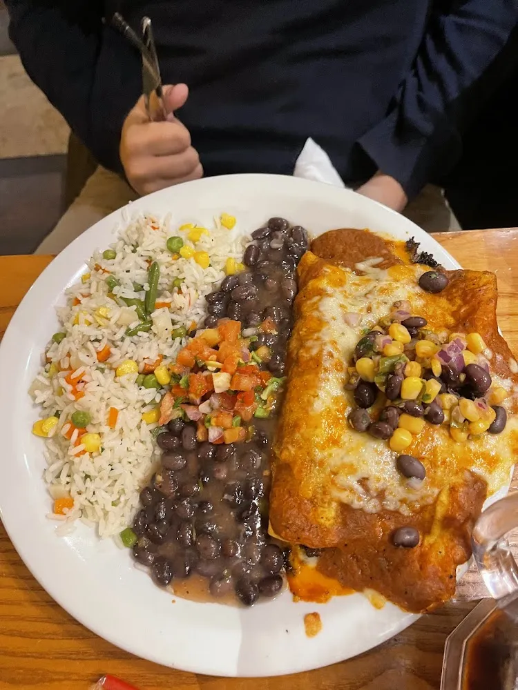 Sauer Cream Chicken Enchiladas